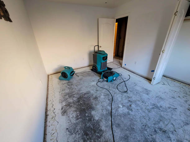 Best Sewage cleanup and water damage restoration  in Quitman, MS