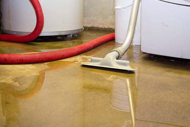 Best Water damage restoration near me  in Quitman, MS