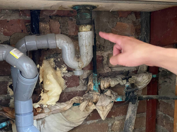 Best Flooded house restoration  in Quitman, MS