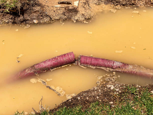 Best Water damage restoration near me  in Quitman, MS